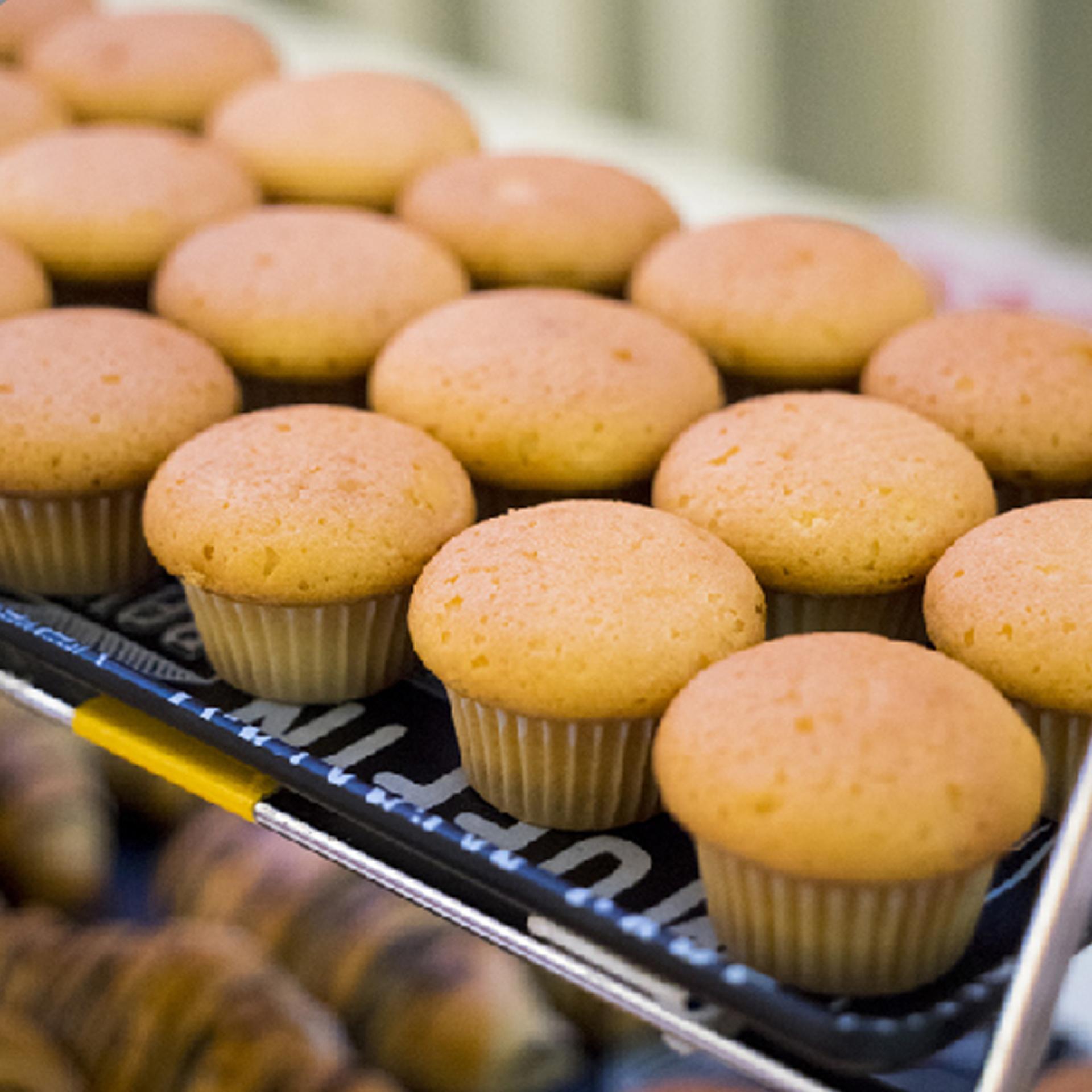 Vanilla Cupcake