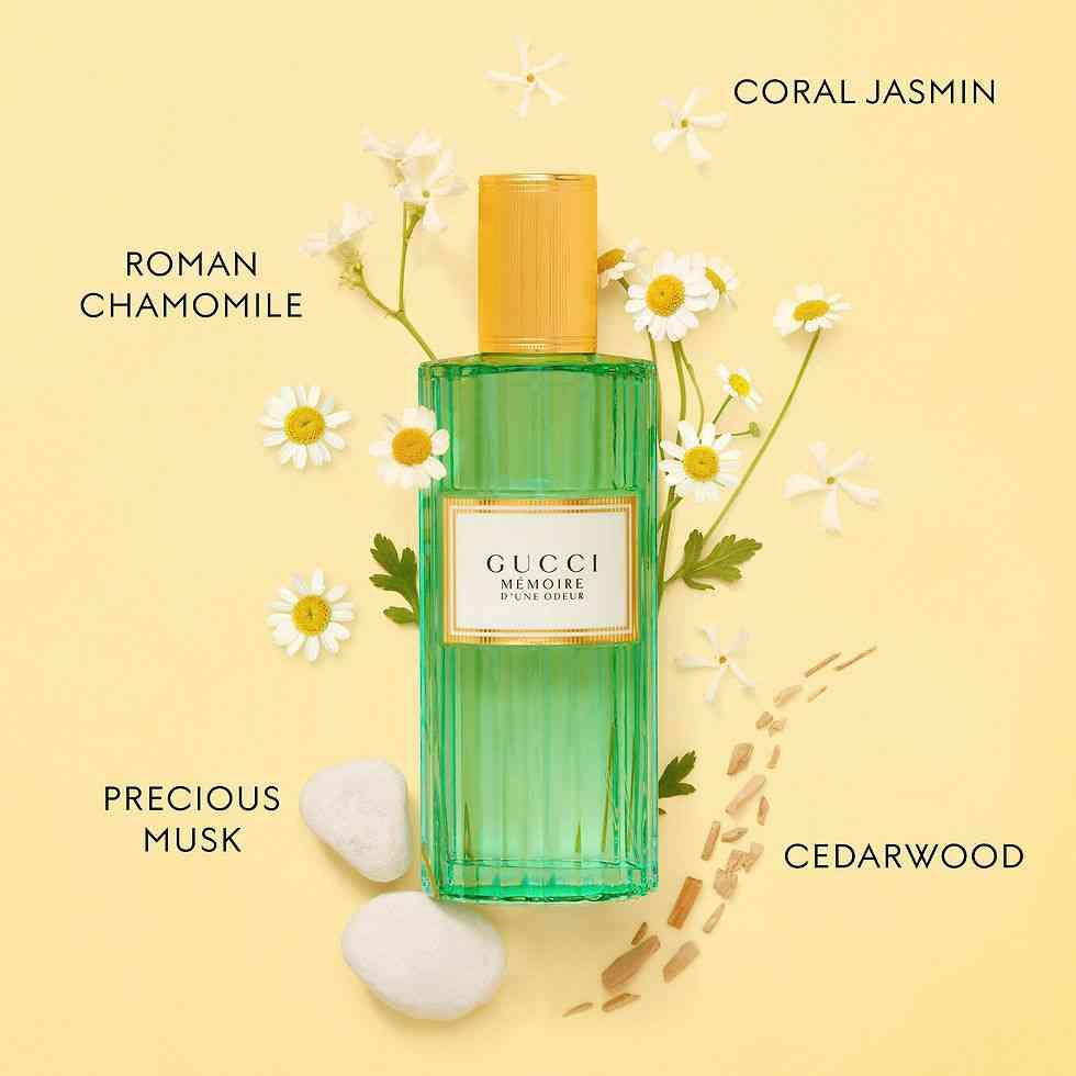 GUCCI MEMORIE