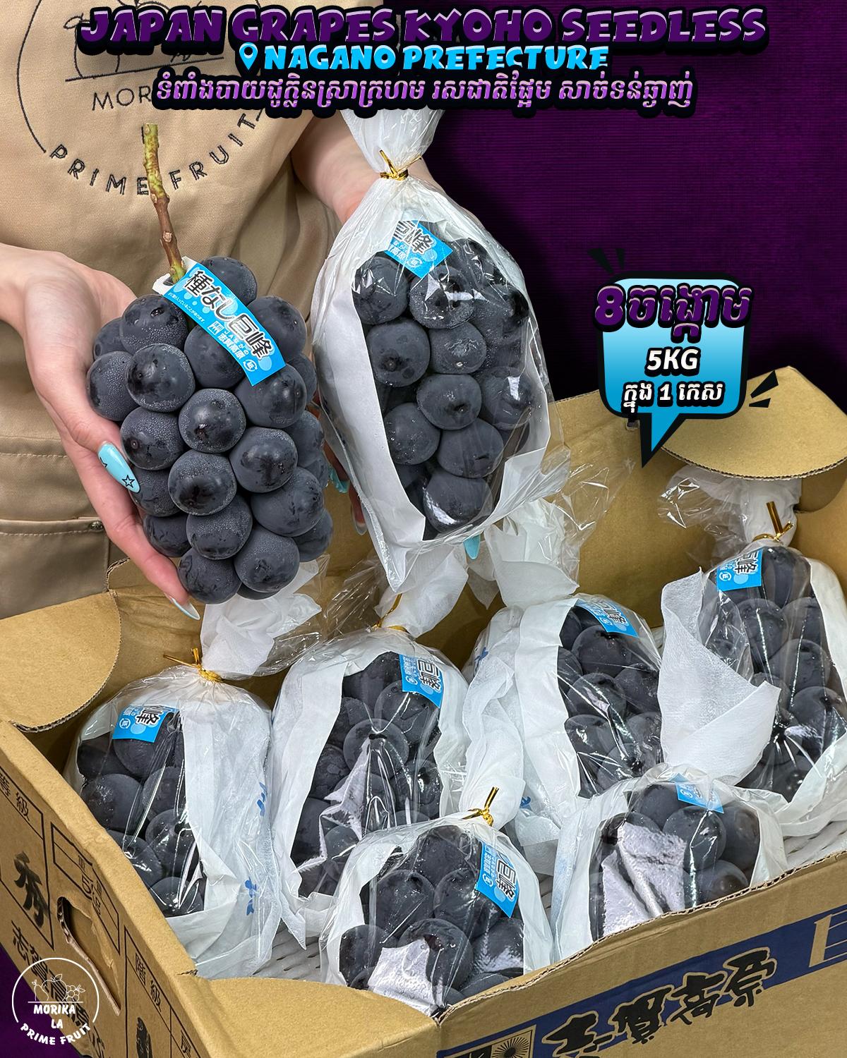 Japan Grapes Seedless Kyoho