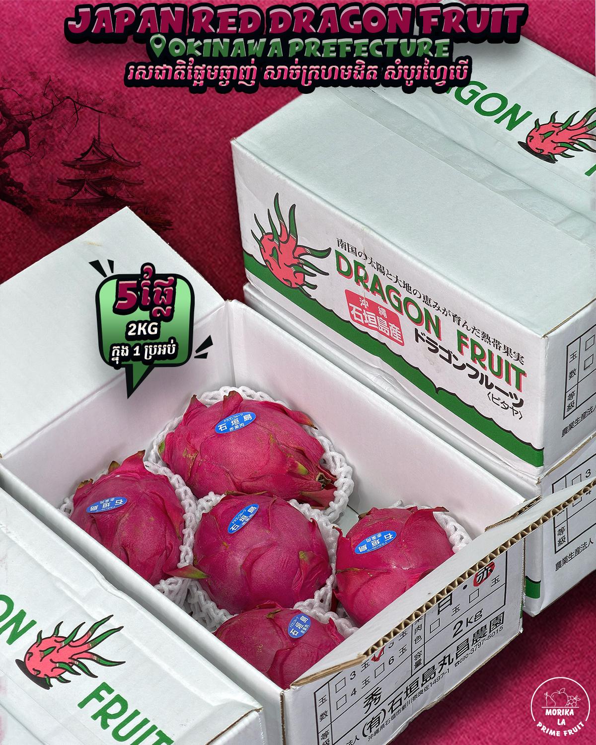 Japan Okinawa Dragon Fruit