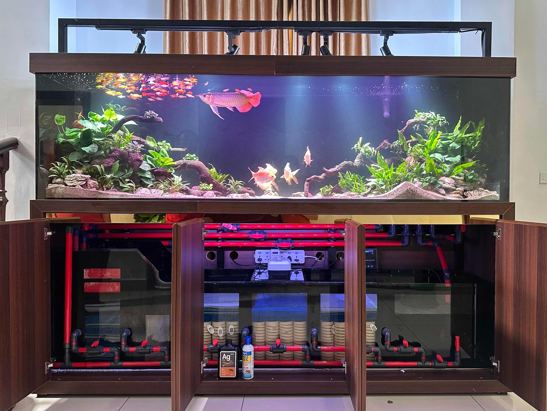 Tank size 250x68x80