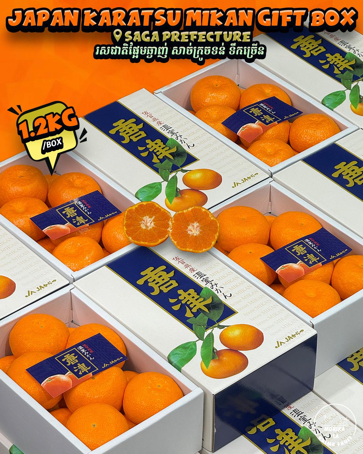 Japan Karatsu Mikan 1.2kg Gift Box