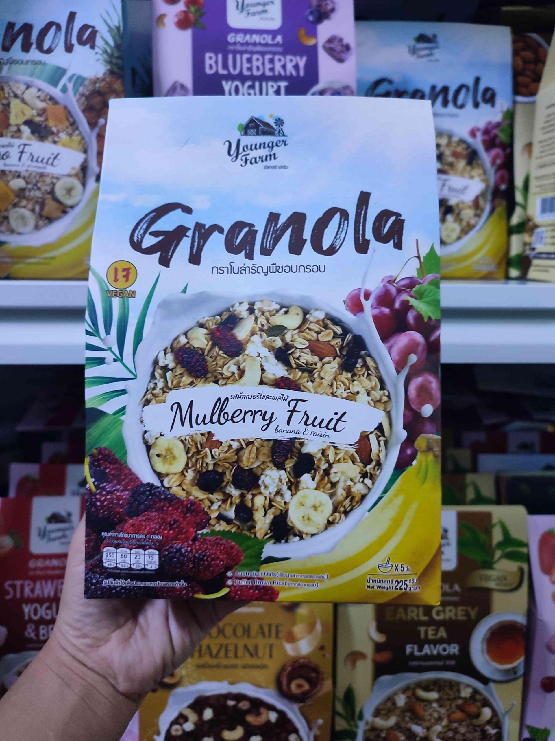 Granola mulberry fruit