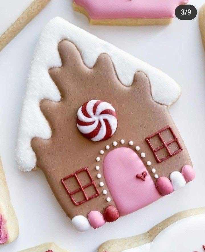 Royal icing Cookie House (M)