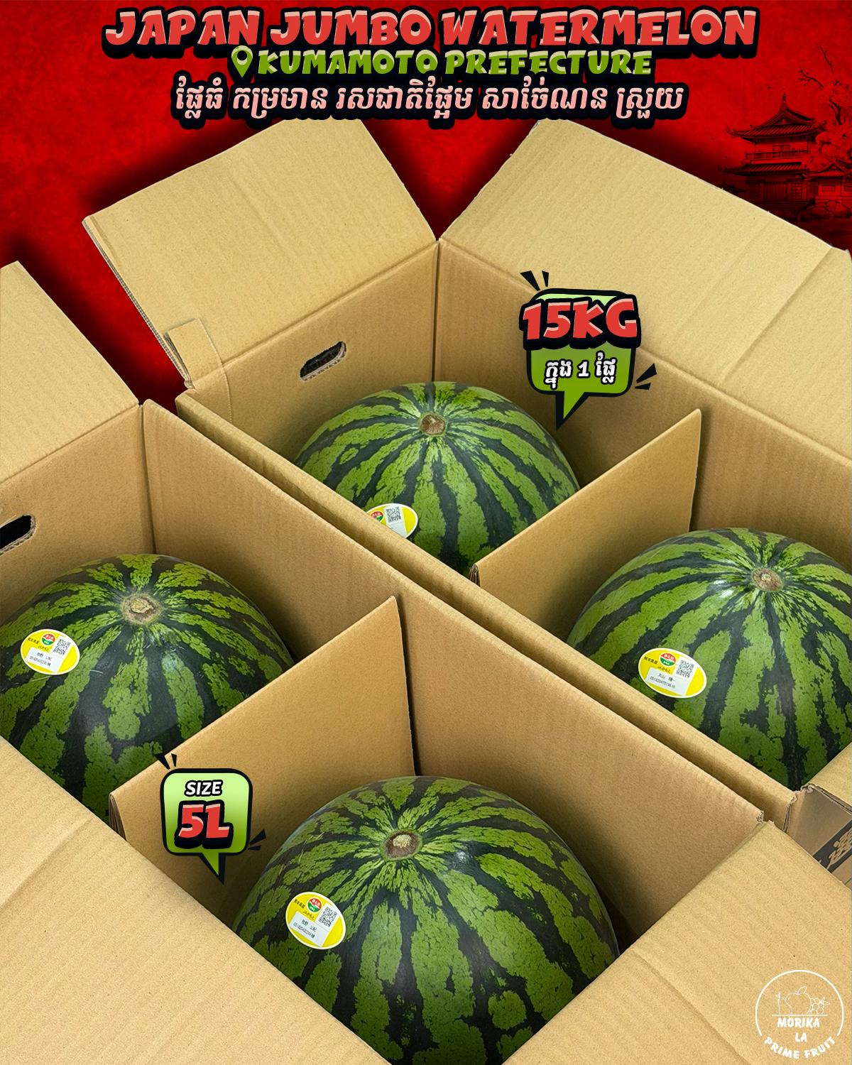 Japan Jumbo Kumamoto Watermelon 10kg🍉 