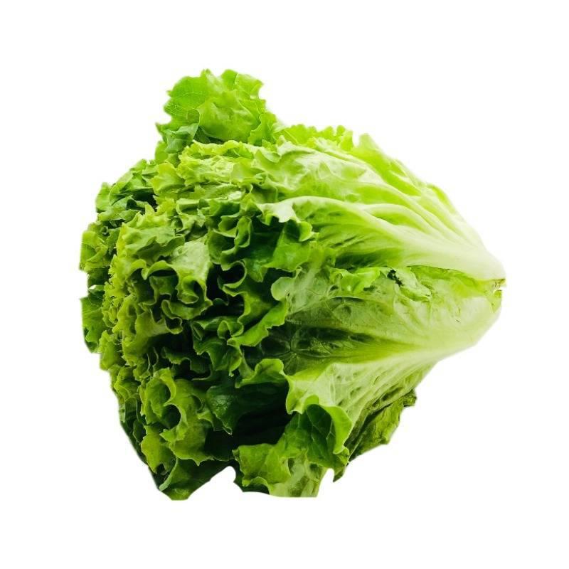 សាឡាត់ស្រួយ 500g