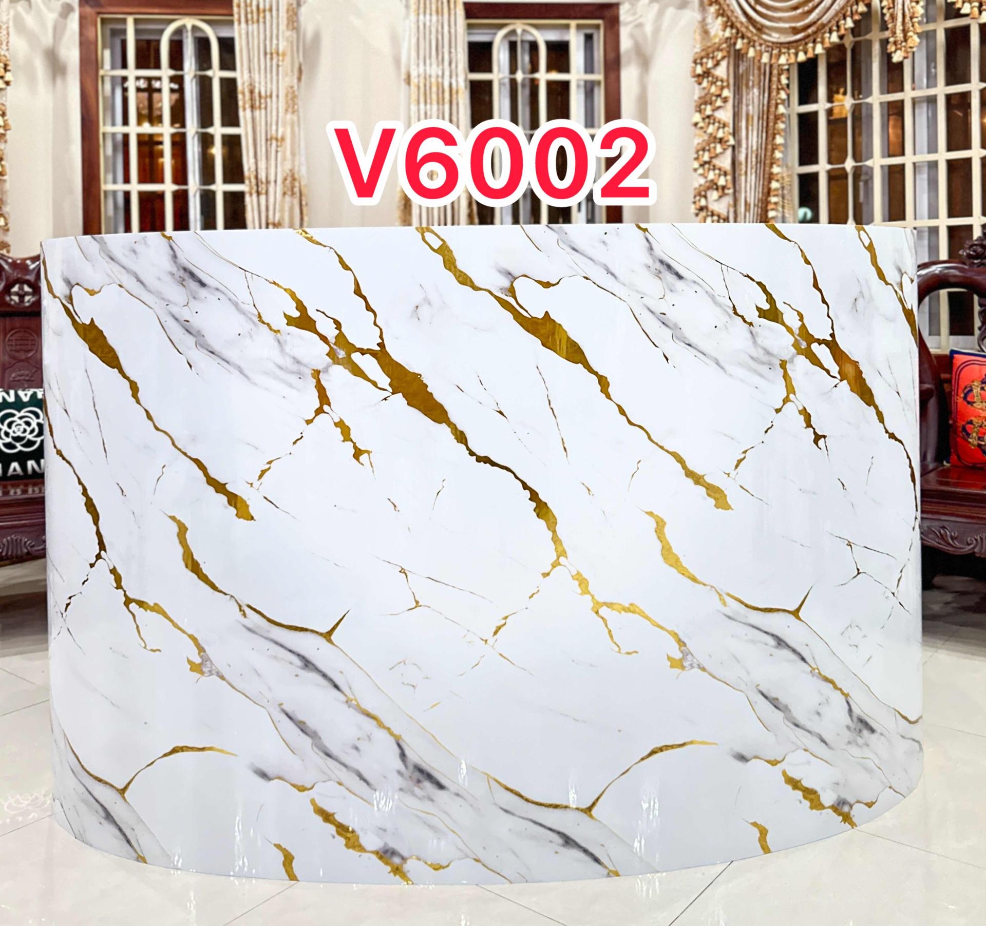 V6002