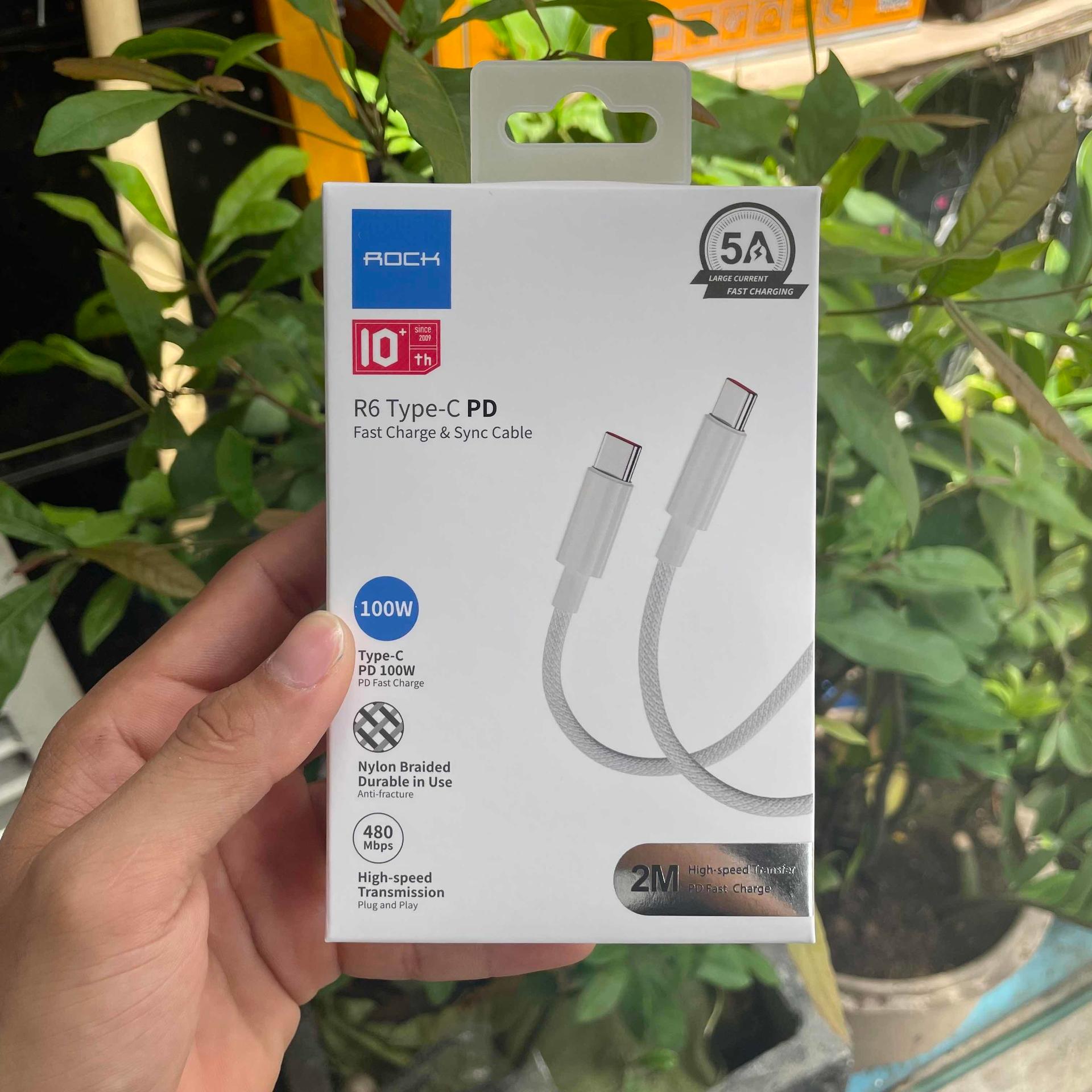 ROCK Cable(R6) PD100W (2M)