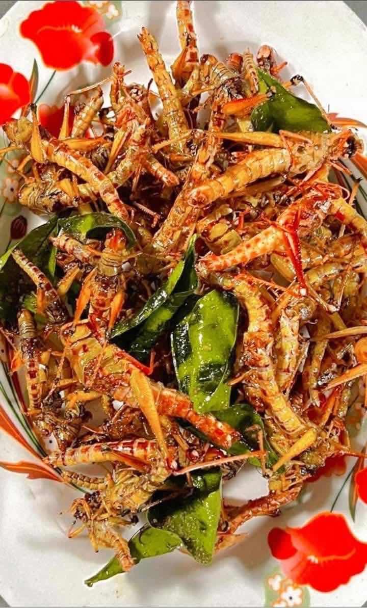 កណ្តូប បំពង