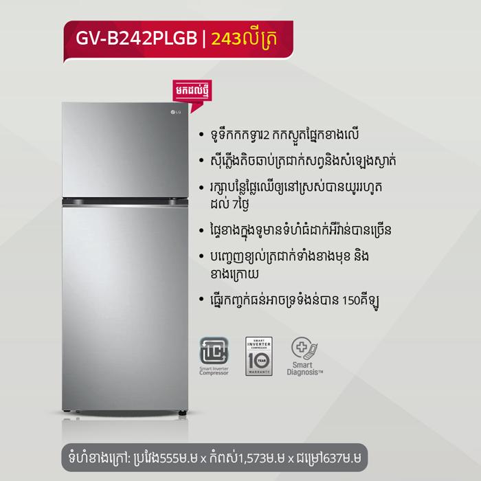 LG B242 - ប្រាក់ 1.57m (243L)