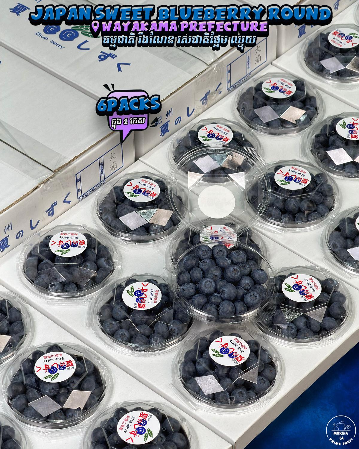 Japan Sweet Blueberry π«