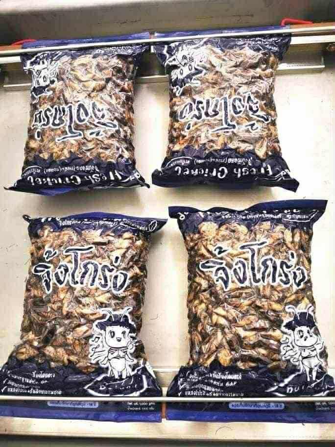 ចង្រិតលេខកូដពង99%