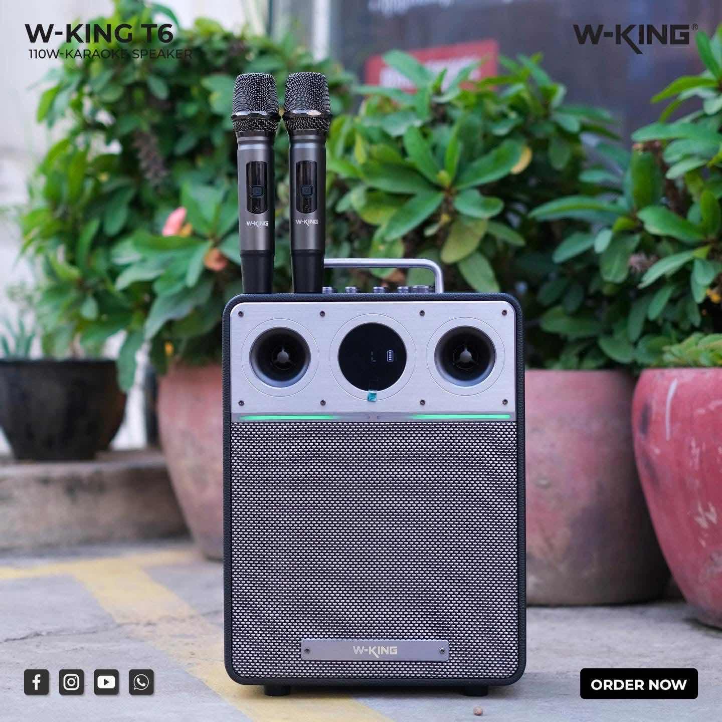 W-KING T6