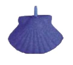 Shell (S)50×35mm