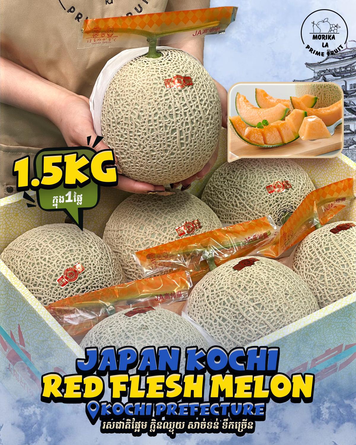 Japan Red Flesh Melon #6π