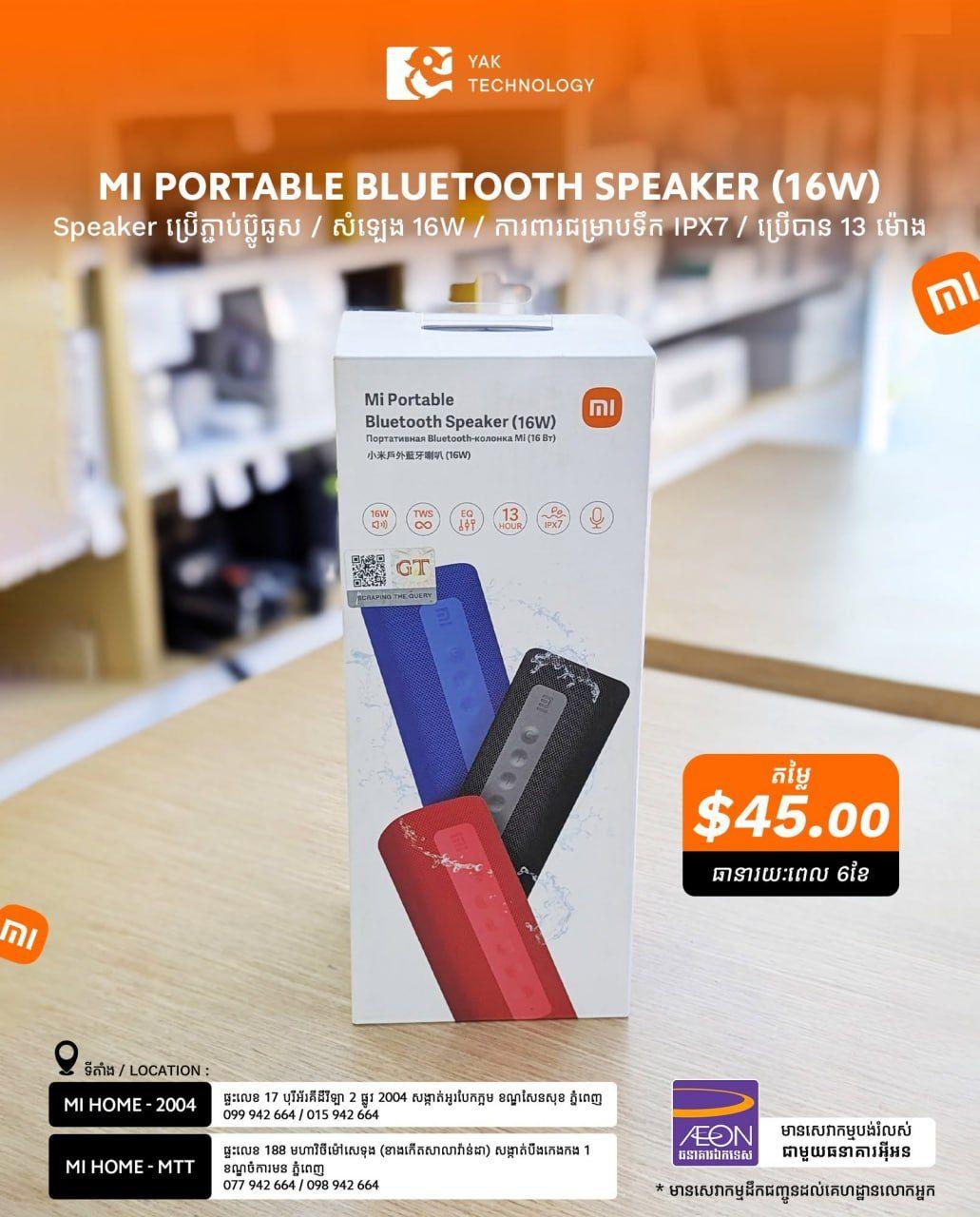 Portable Bluetooth Speaker (16W)