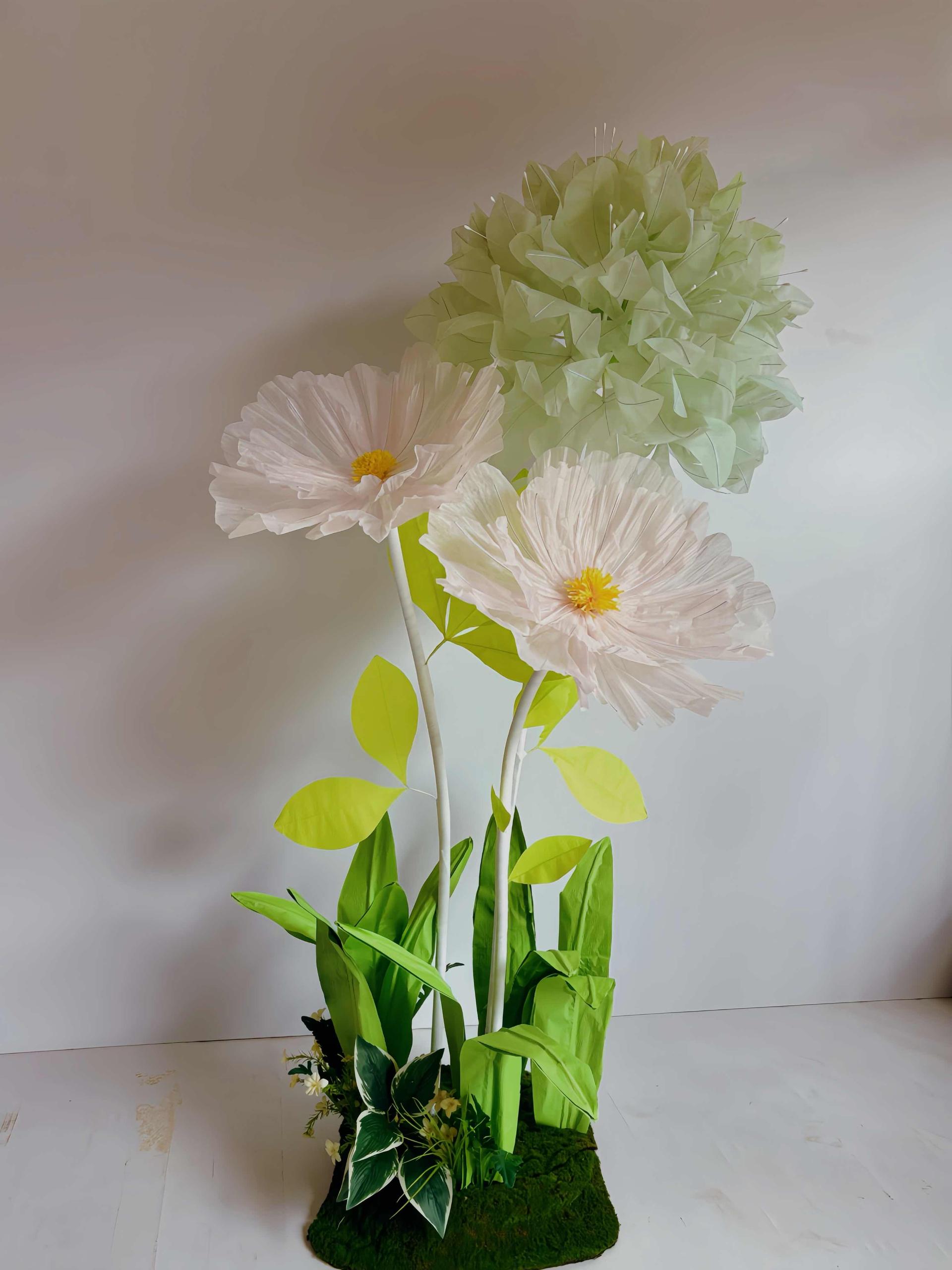 ឈុតផ្កាបាល់ និងផ្កាPoppy