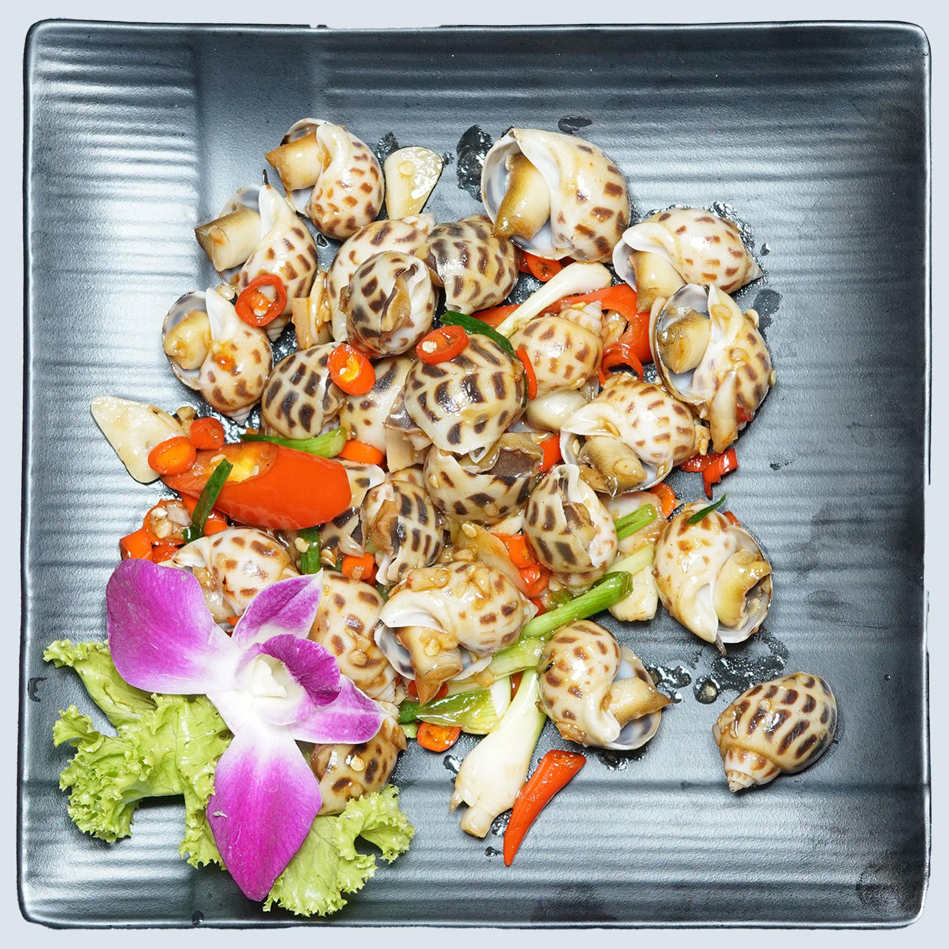 ខ្យងប៉ារ៉ាលីងអំបិលម្ទេស