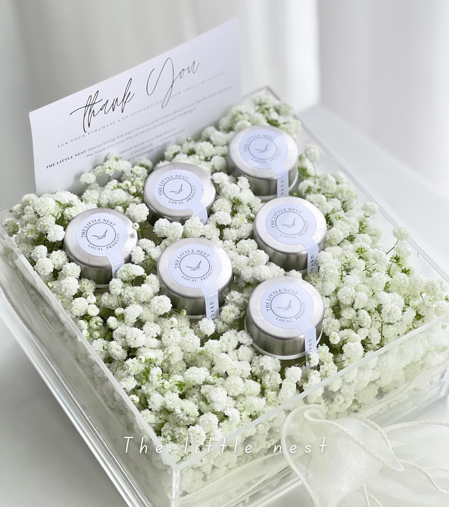 GYPSOPHILA