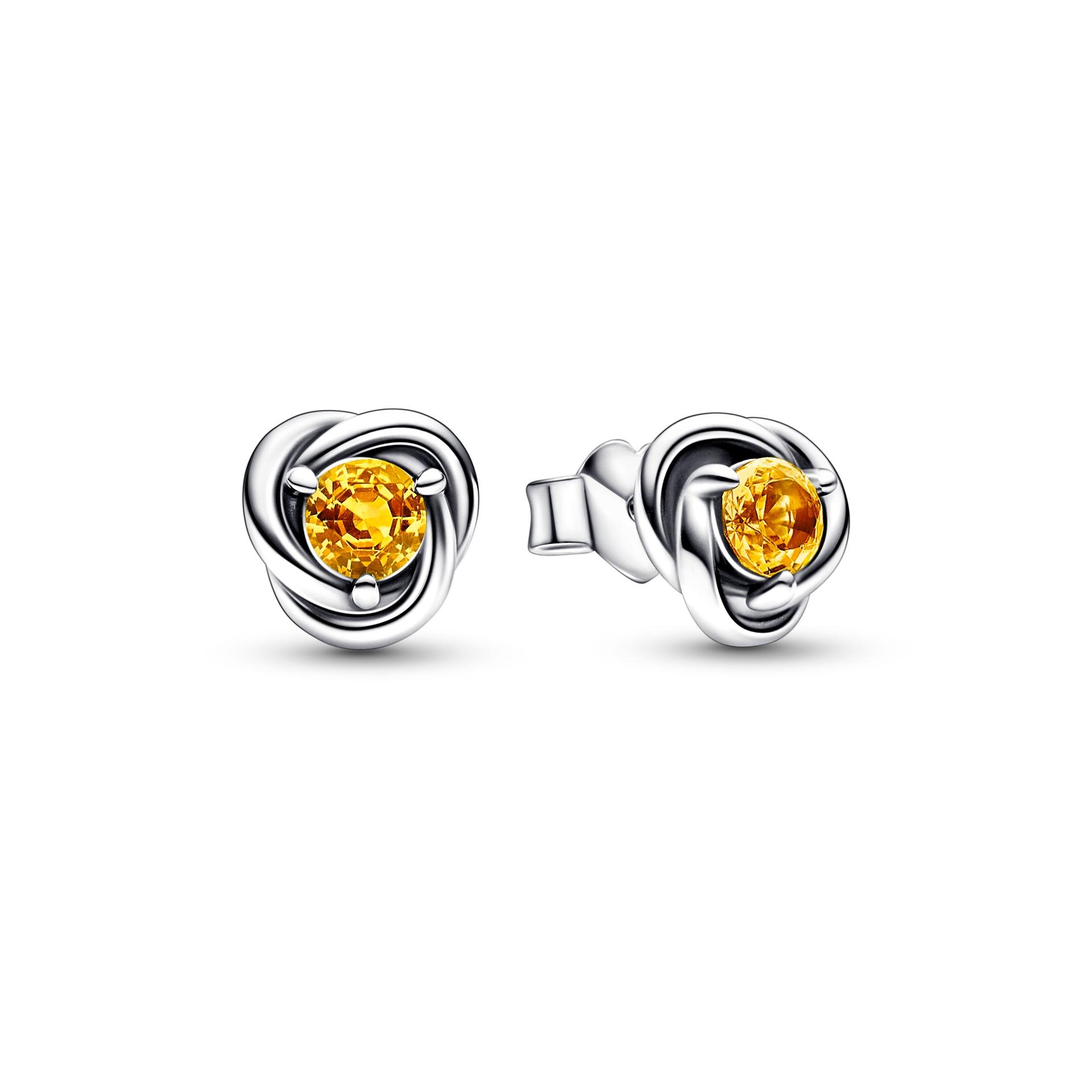 November Crystal Birthstone Eternity Circle Stud Earrings
