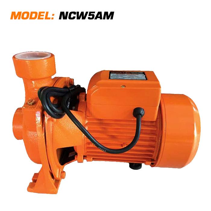 Professional Water Pump 22m (2Hp)