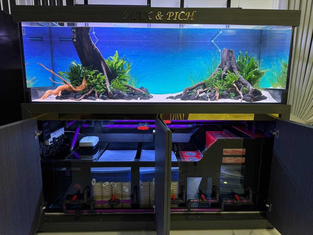 Tank size 180x60x72