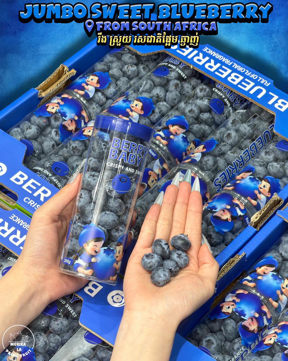 Jumbo Blueberry 🫐 