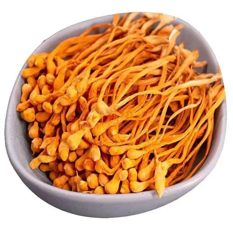 ផ្សិតមាស 100g
