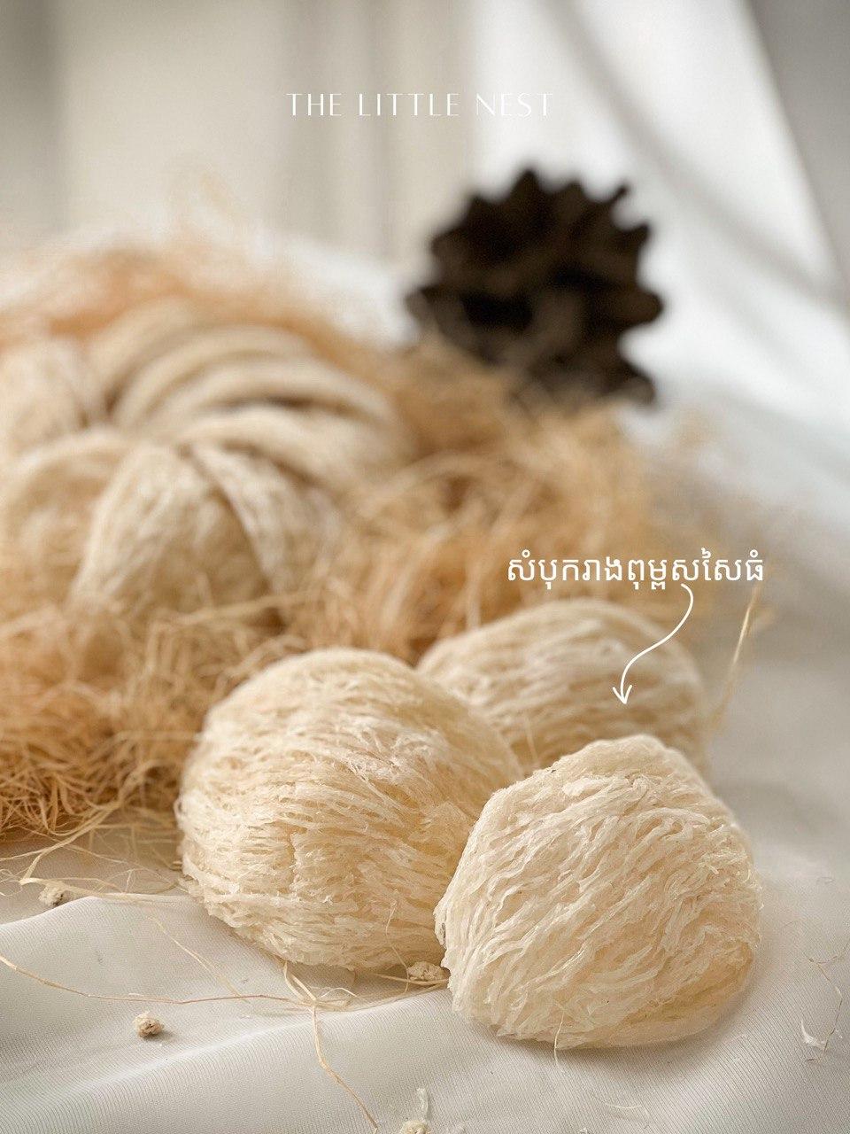 សំបុកពុម្ព