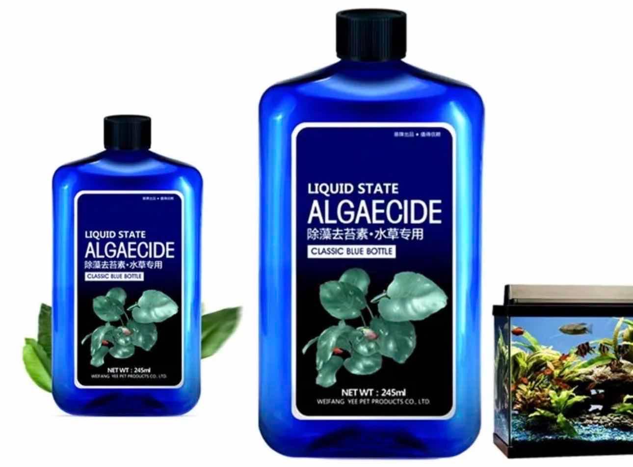 ថ្នាំកម្ចាត់ស្លែរ / Yee Liquid State Algaecide