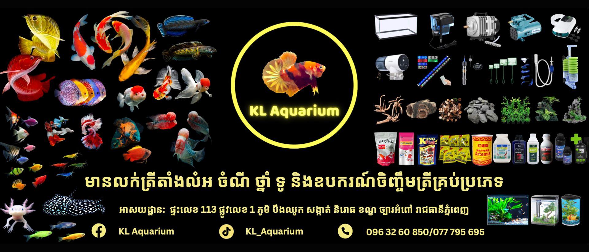 ads-image