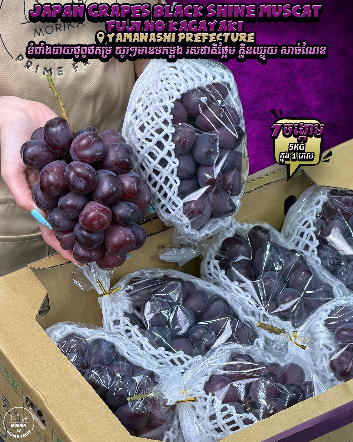 Japan Grapes Black Shine Muscat Fuji No Kagayaki