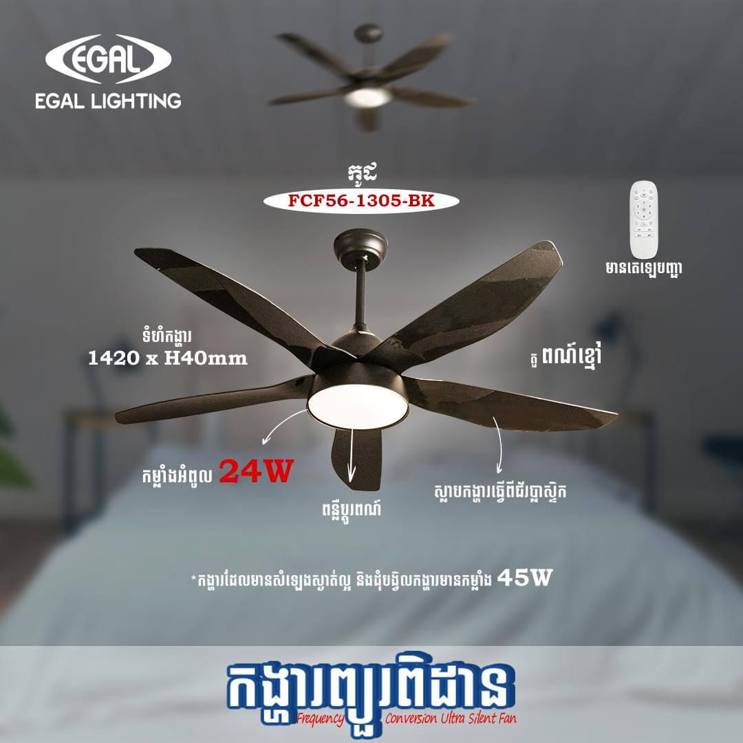 កង្ហាលស្លាបដែក