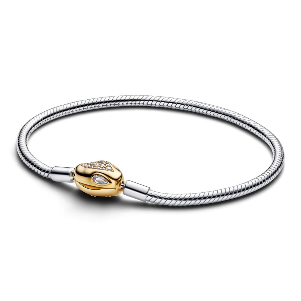 Snake Clasp & Chain Bracelet