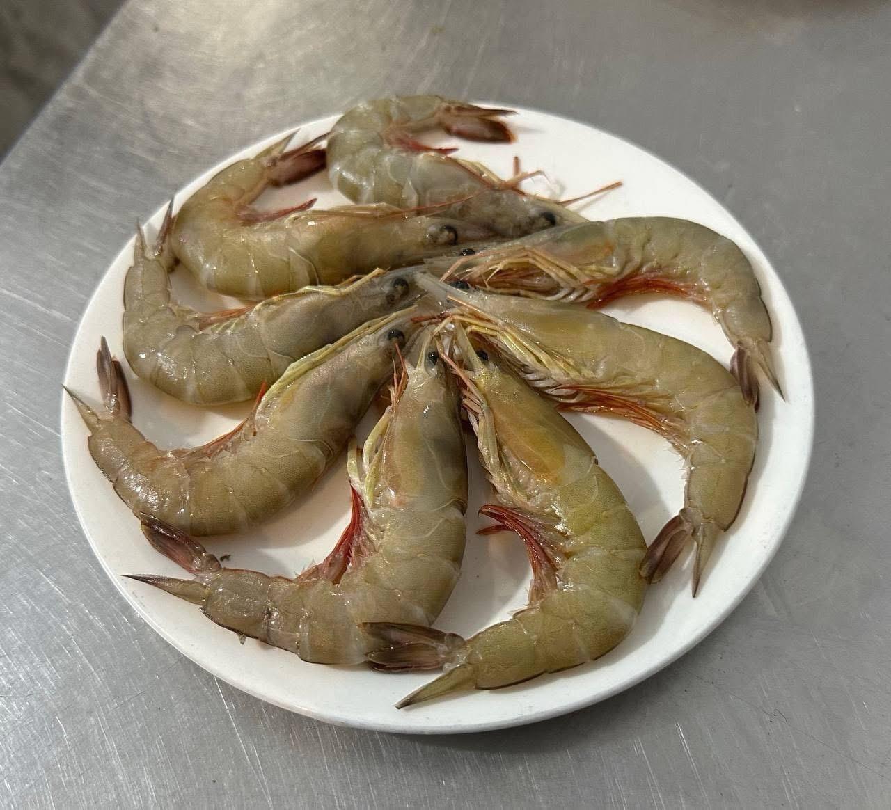 បង្គារ ឆៅស្រស់