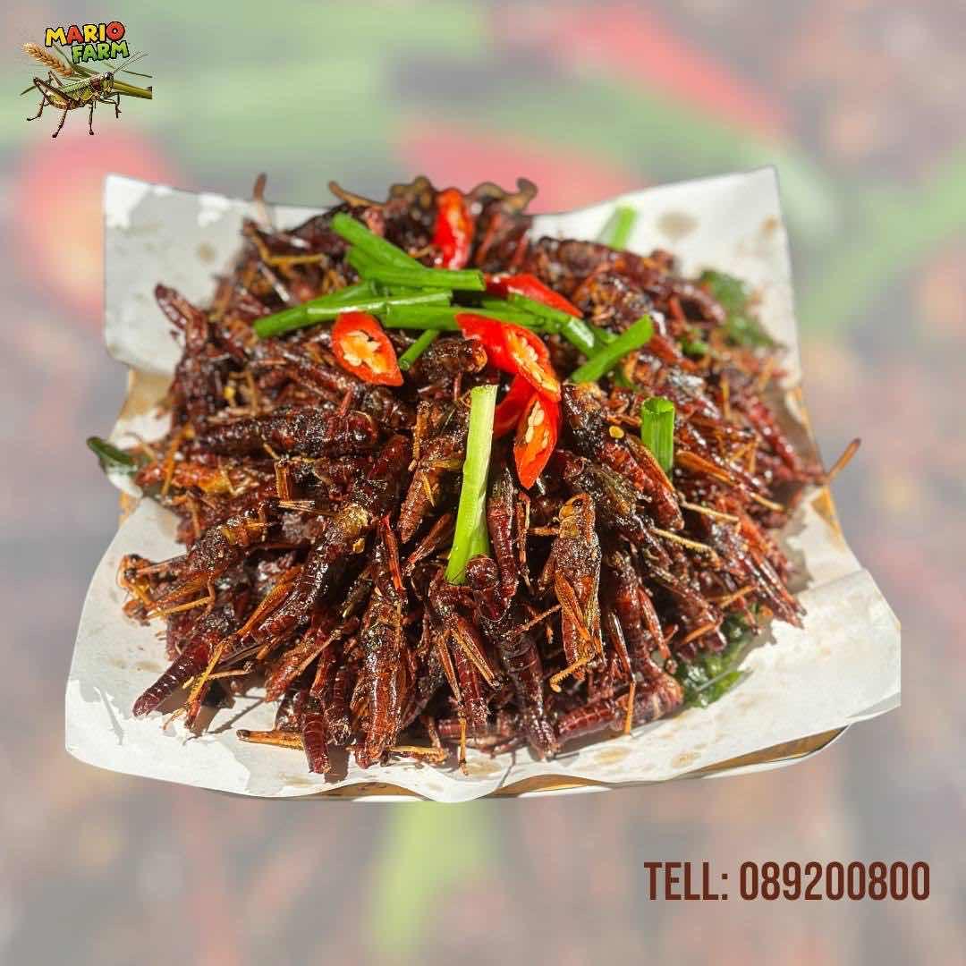 កណ្ដូប​បំពង