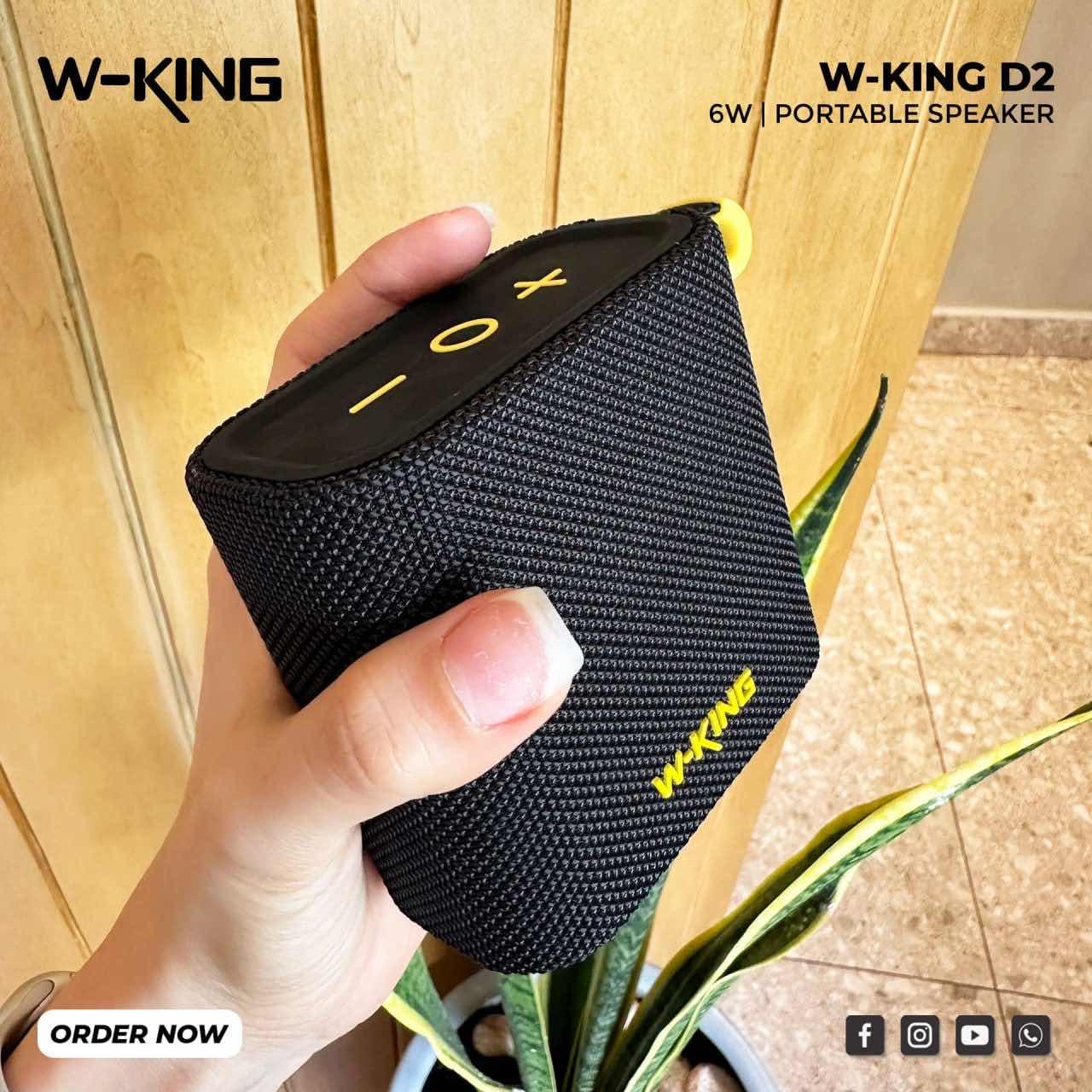 W-KING D2