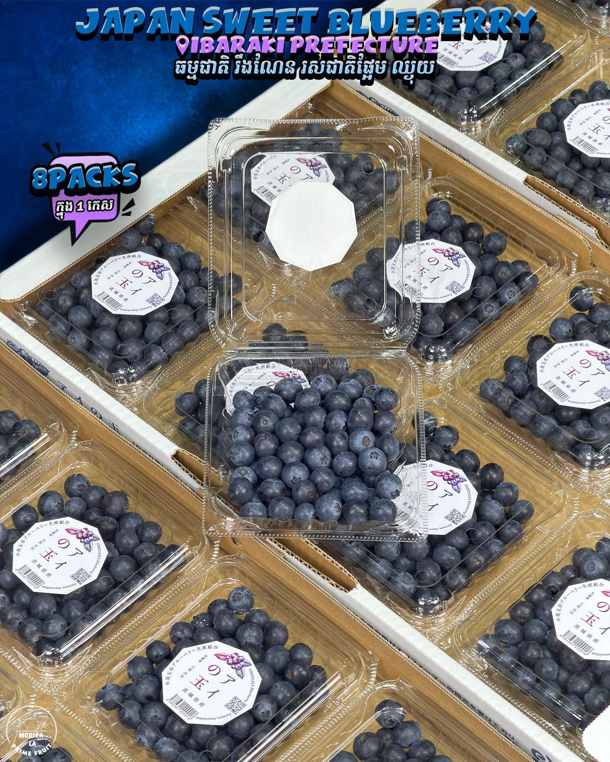 Japan Sweet Blueberry 🫐 