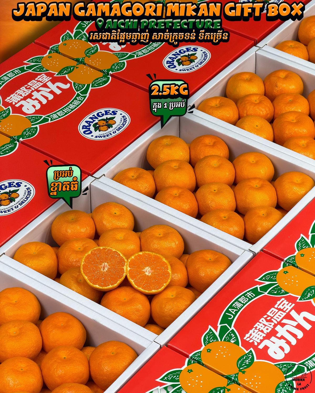 Japan Gamagori Mikan 2.5kg Gift Box 