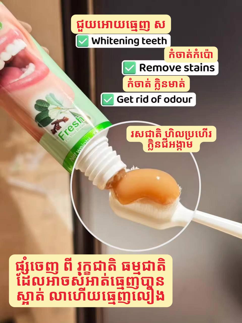 B67:ថ្នាំដុះធ្មេញ110g 6ទីប