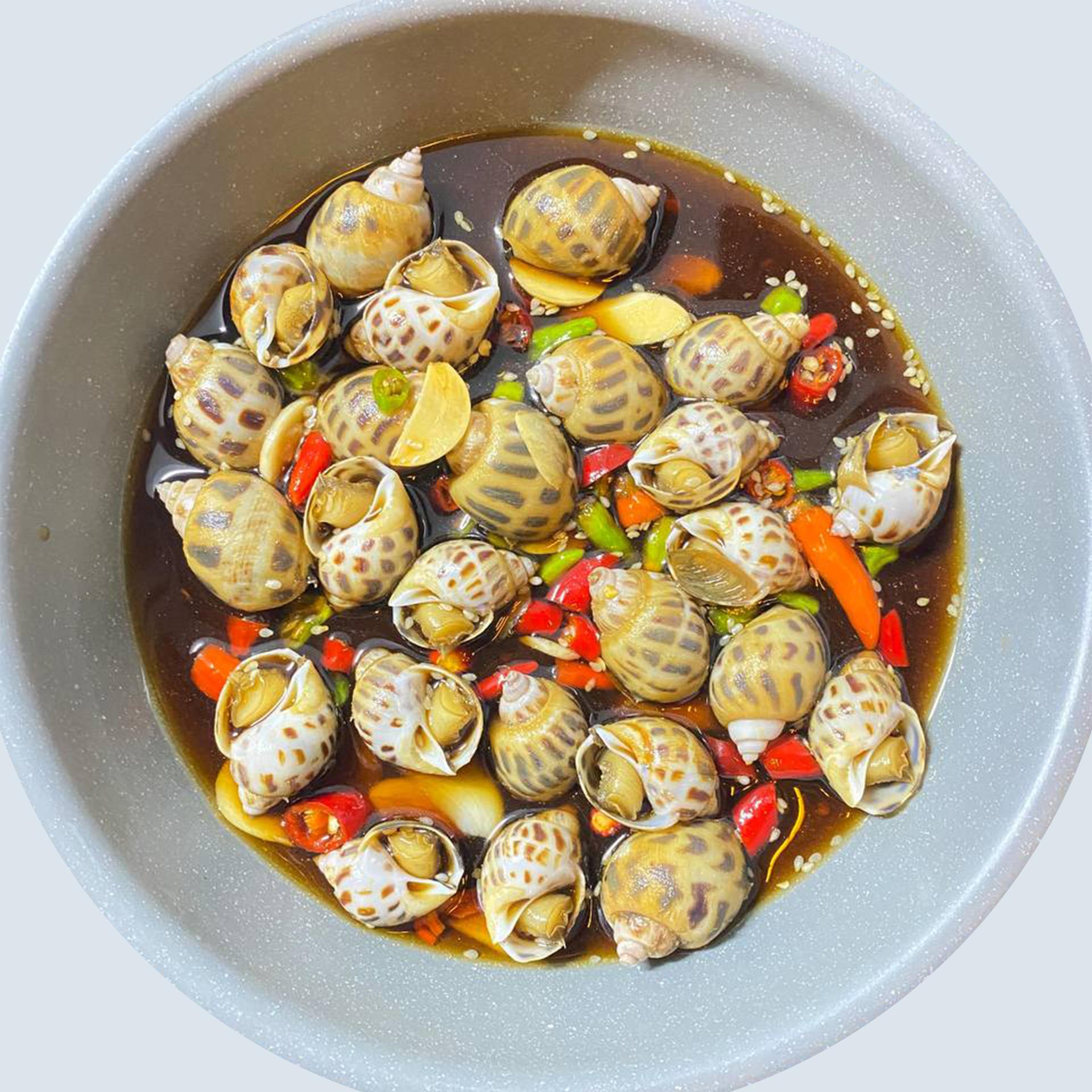 ខ្យងប៉ារ៉ាទឹកស៊ីអ៊ីវ