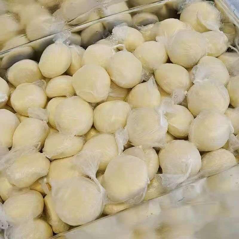 សាច់ម្សៅម៉ីកក Frozen Dough