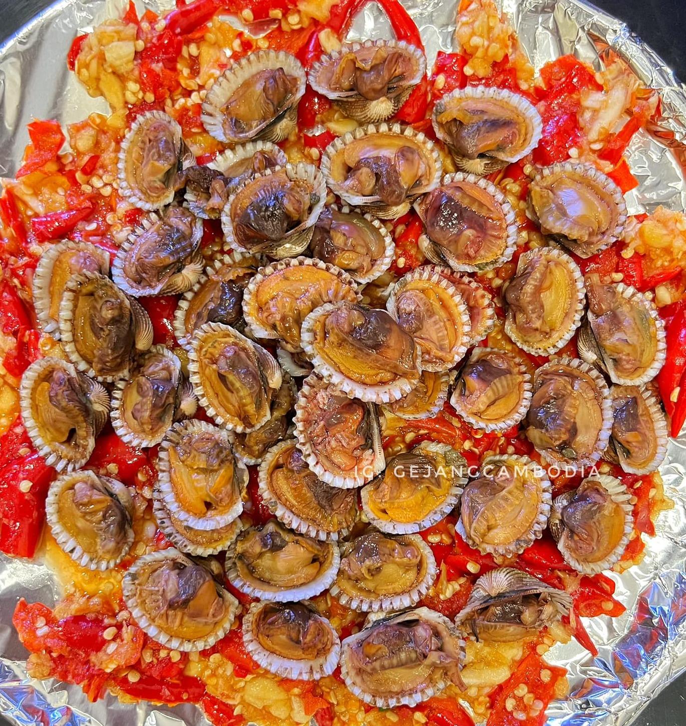 ងាវភ្នំភ្លើង