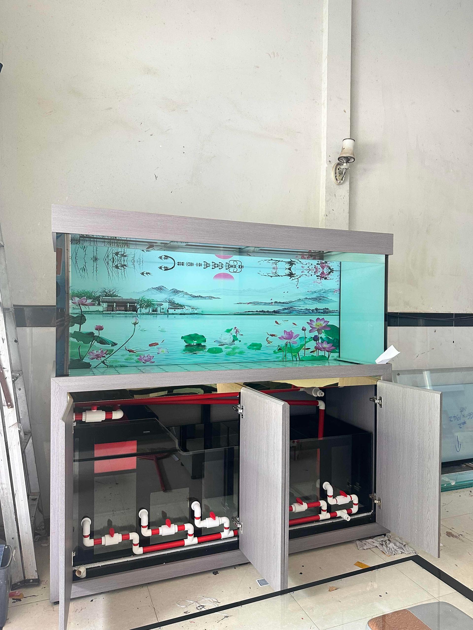 Tank size 200x68x80
