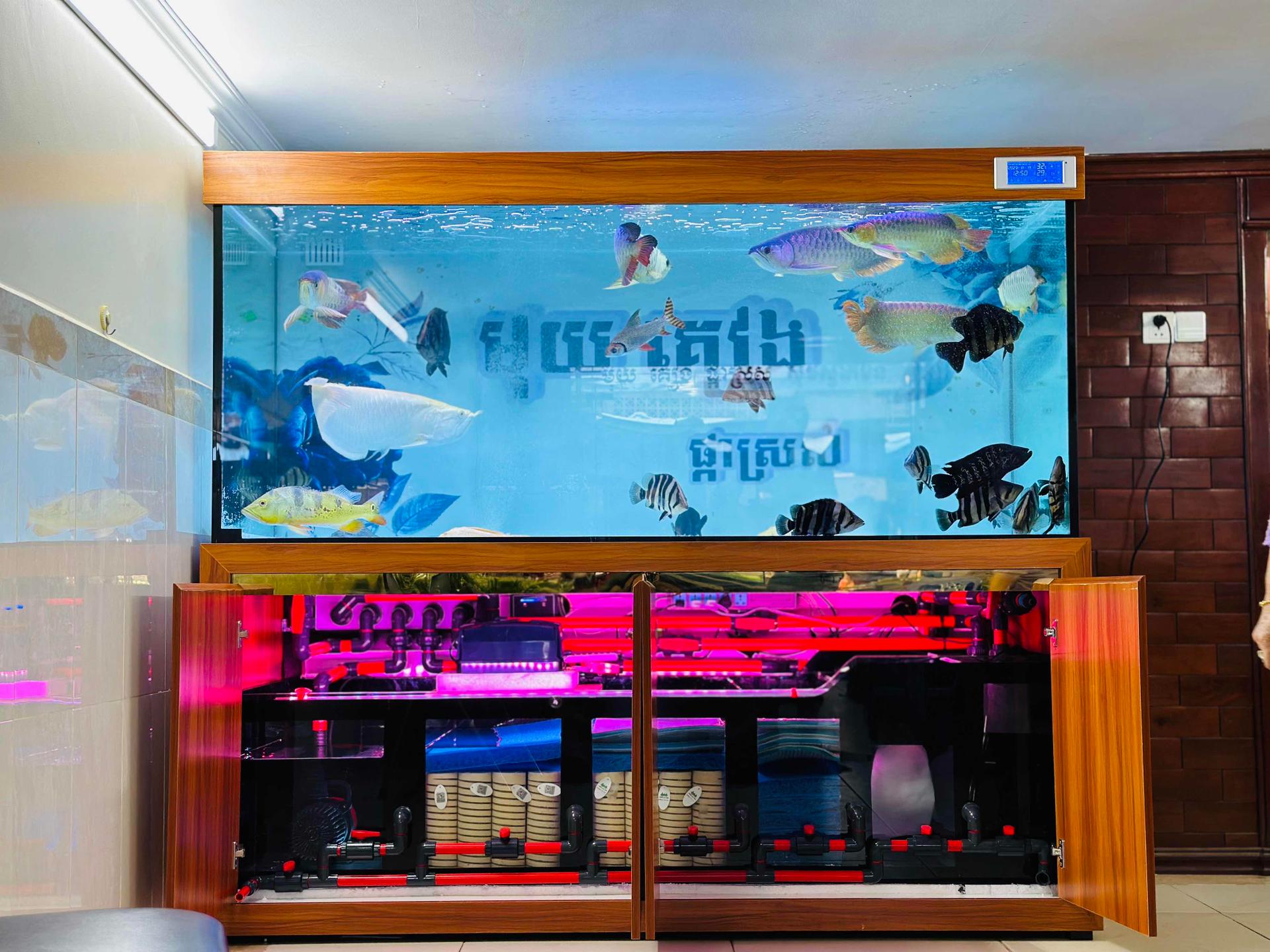 Tank size 200x68x80