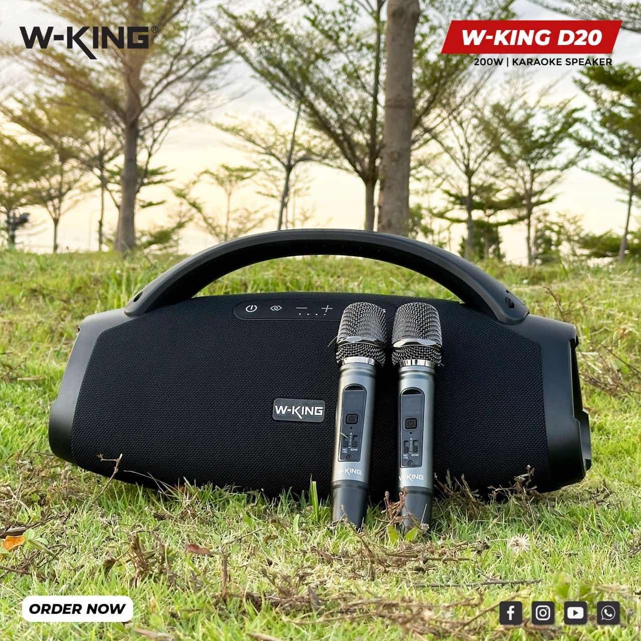 W-KING D20