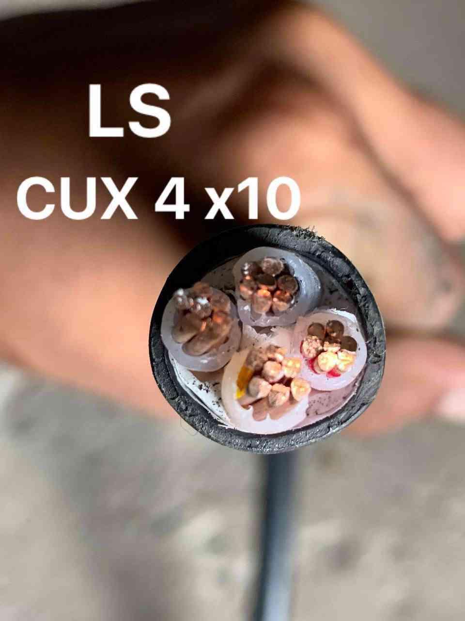ខ្សែស្ពាន់កូរ៉េ LS 4x10 Sq.mm