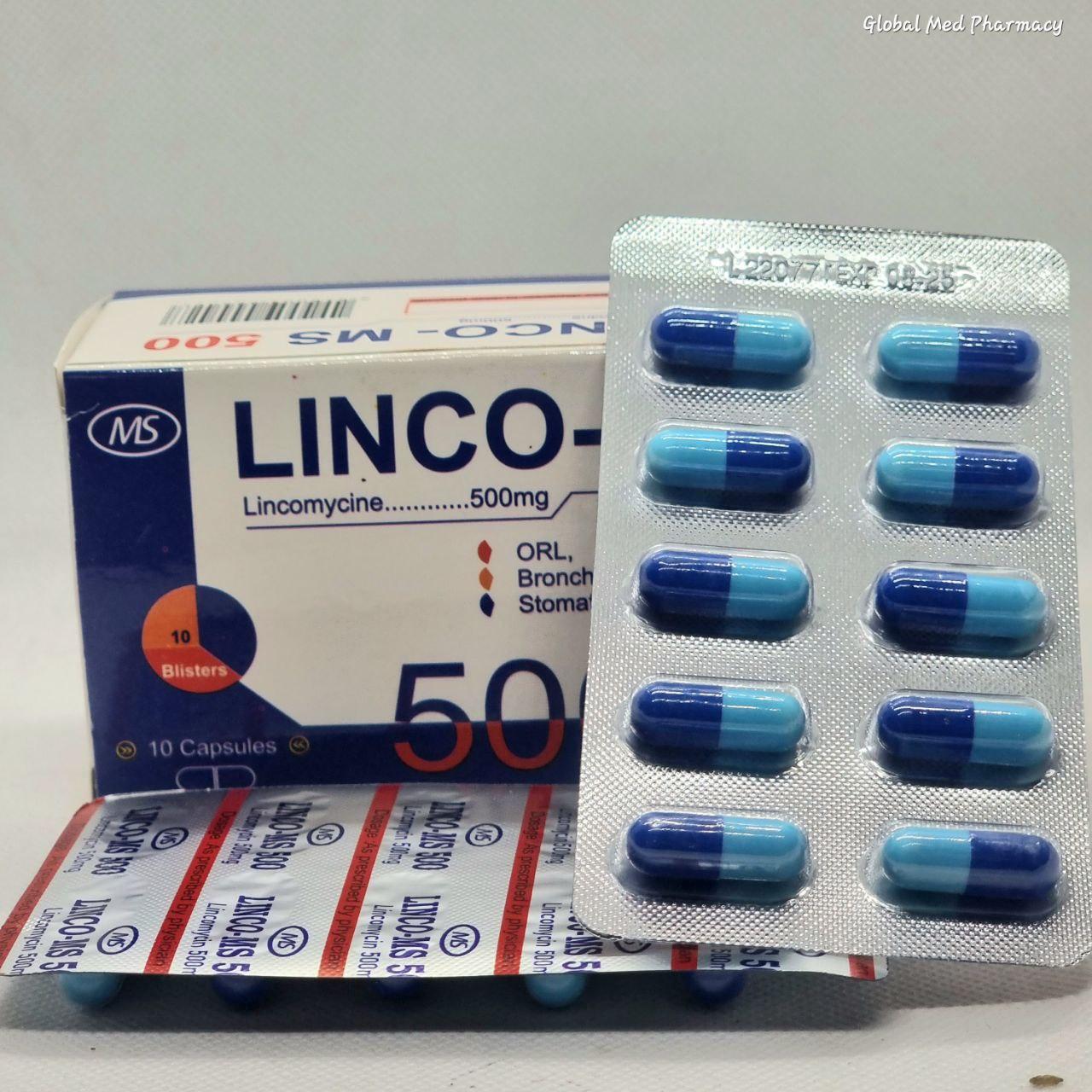 LINCO 500 MS B/10x10