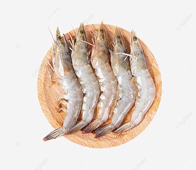 Shrimp-បង្គា-새우