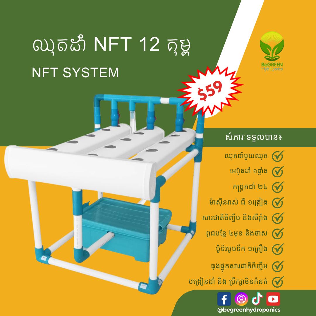 ឈុតដាំ NFT 12គុម្ព មានម៉ូទ័រ